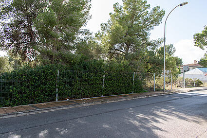 3. Plot for sale in Sol de Mallorca